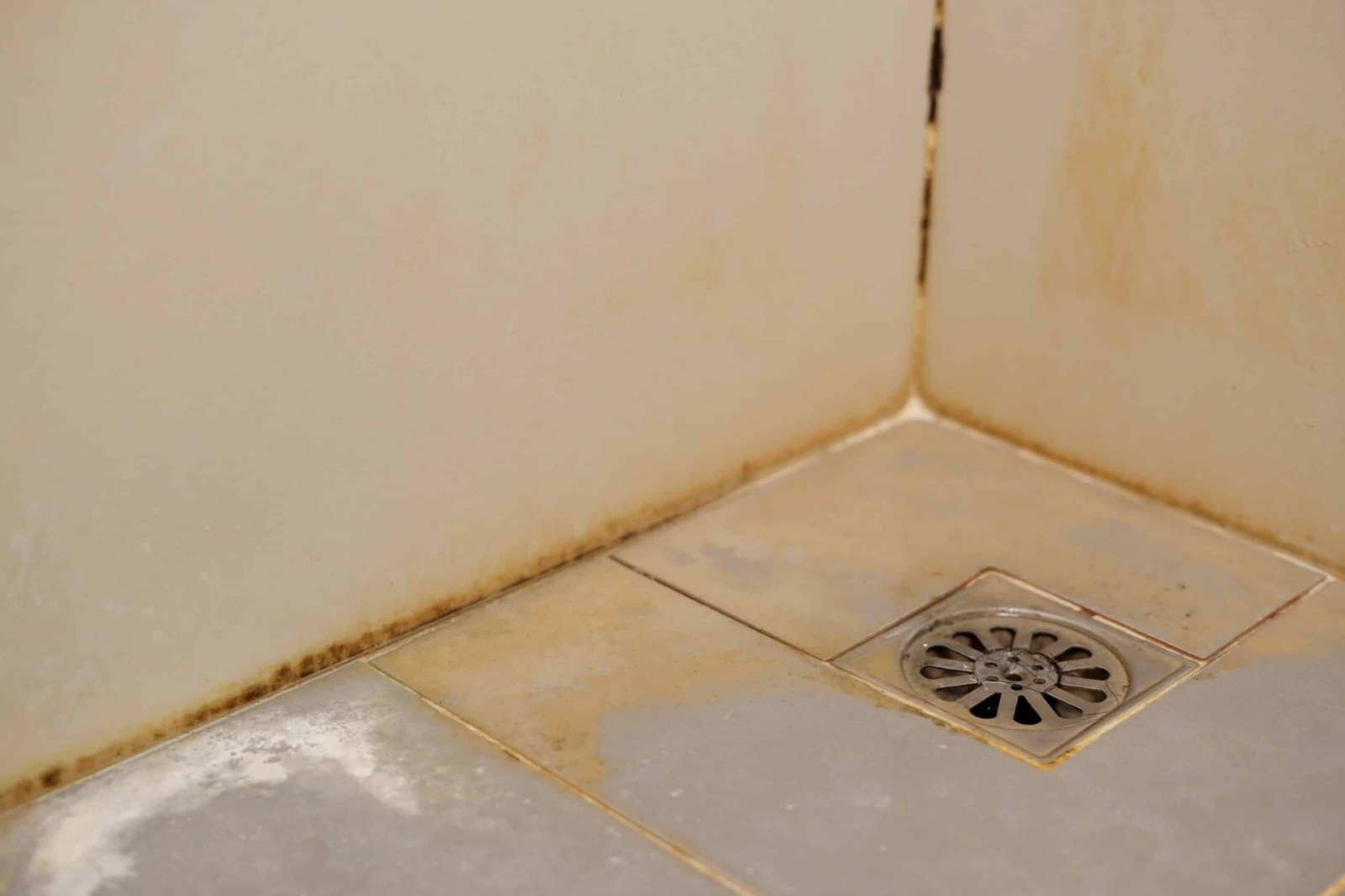 Before Wet-area grout repair