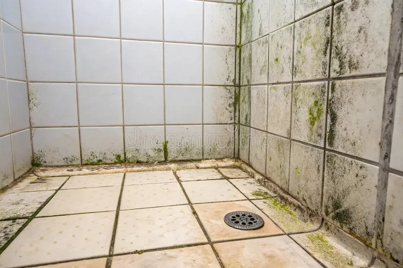 Before Bathroom presentation upgrade